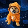 DogontheMoon's profile picture