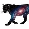 Фото профиля alpha cat
