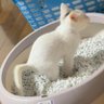 あなたさん 的头像