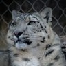 Arden ΘΔ profil fotoğrafı