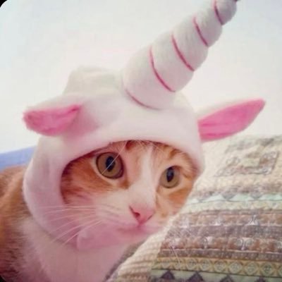 ꒰ ♬♩꒱ koko's profile picture