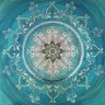 lia 𓆞's profile picture