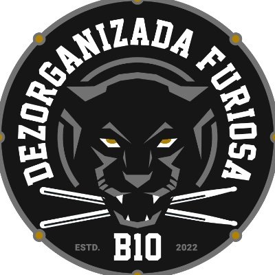 dez_organizada's profile picture
