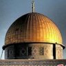 الدحباشي بأصلة. 的头像