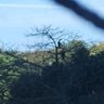 Observatório da Política profil fotoğrafı