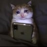 Profilbild von ๐ช๐ฏ๐จ๐บ๐ฌ