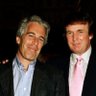 NotMyPedoPresident profil fotoğrafı
