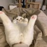 Sooya 的头像