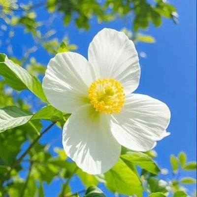 sempatips's profile picture