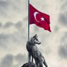 BOZKURT's profile picture