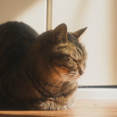 ismsx2's profile picture