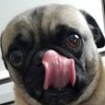 Profilbild von BoomBoom0105