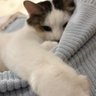 アル中's profile picture