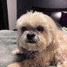 Mae profil fotoğrafı