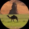 راع البلهاء profil fotoğrafı