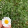 H98Raaa profil fotoğrafı