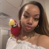 BangBangPow's profile picture