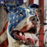 LUCKYSOB profil fotoğrafı