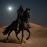 BIN* HUSSAIN 的头像