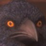 Profilbild von PD Turba