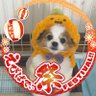 まふひろ profil fotoğrafı