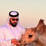 Ahmed Abdulbasit | أحمد عبدالباسط's profile picture