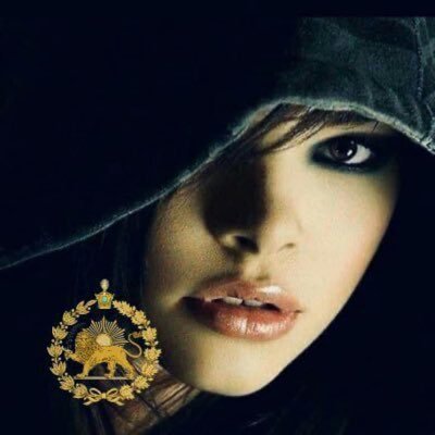 H_Arya1's profile picture