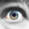 Ulrich Bogun's profile picture
