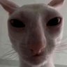 Profilbild von Liam