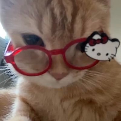Shellykitten418's profile picture