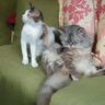 Jus03Mik profil fotoğrafı