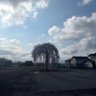 Фото профиля かめさん