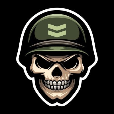 Digital Warfare's profile picture