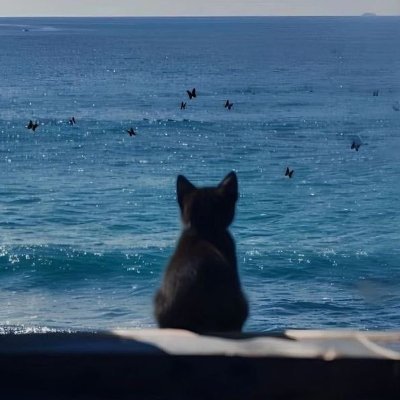oceannvibe's profile picture