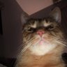 Profilbild von Manlykteekay