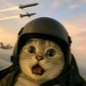 Farera's profile picture