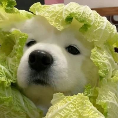โซ ✿'s profile picture