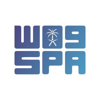 Spa_Eng's profile picture
