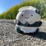 ひいちゃ🌿 的头像