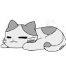 猫塚's profile picture