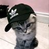 pocky's profil fotoğrafı