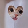 Profilbild von Cams