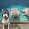 TheyFwLucid! profil fotoğrafı