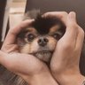 ᵗᵗᵖ`KJ{🪐}` 的头像