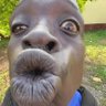 Profilbild von H