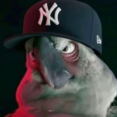 spicydri's profile picture