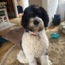 Essbeth's profile picture