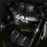 DragonTalonFan123's profile picture