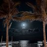Фото профиля madz 9878