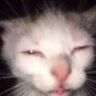 KorAntFGD's profile picture